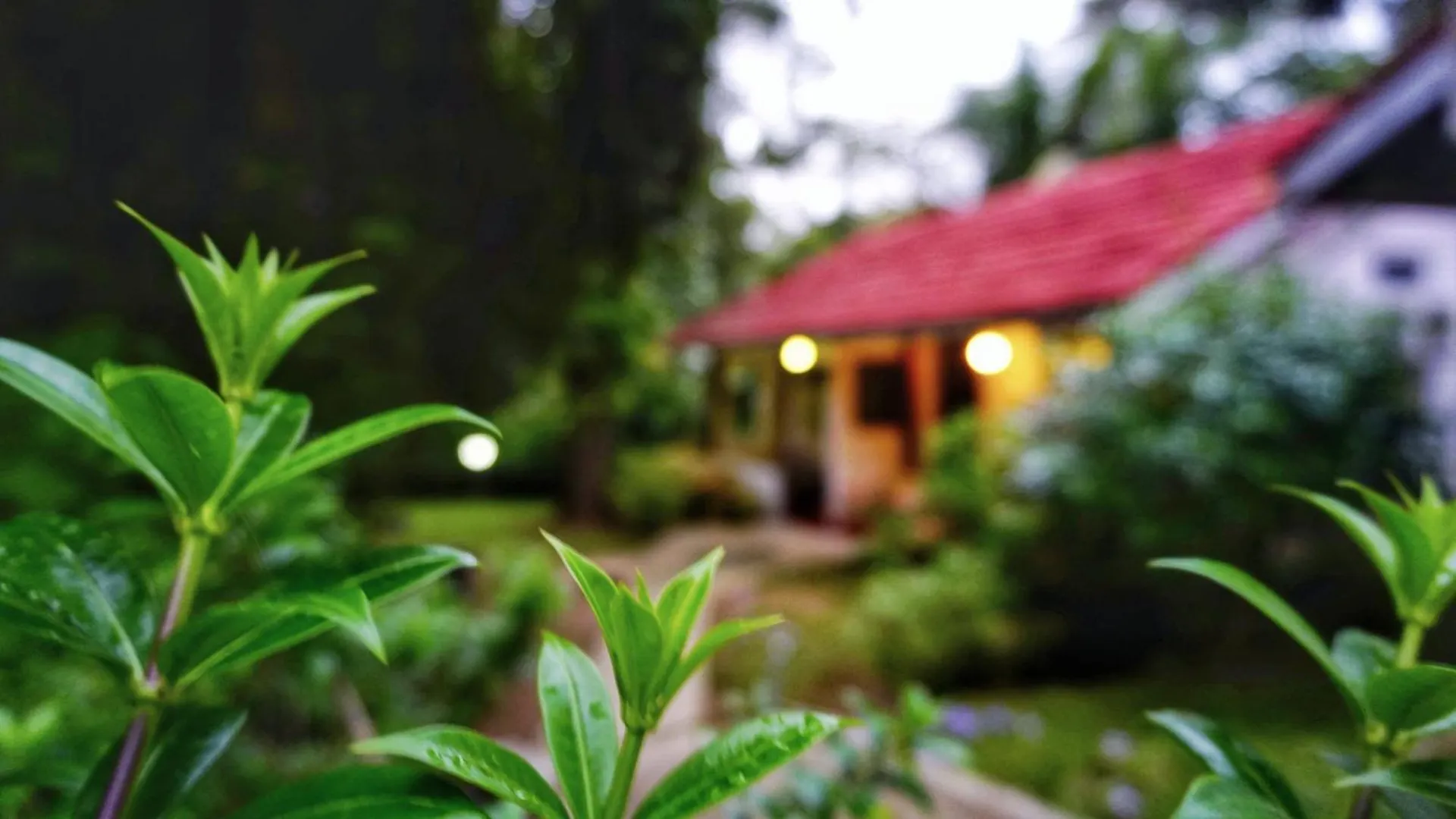 Habarana Inn
