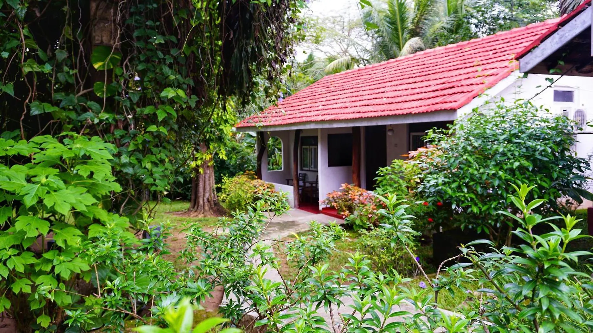 Habarana Inn Sri Lanka