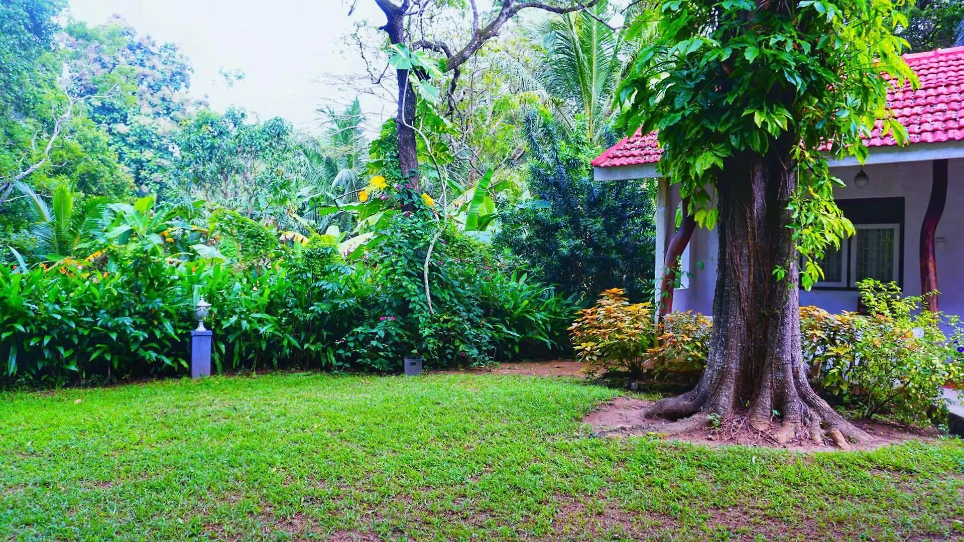 Bed & Breakfast Habarana Inn