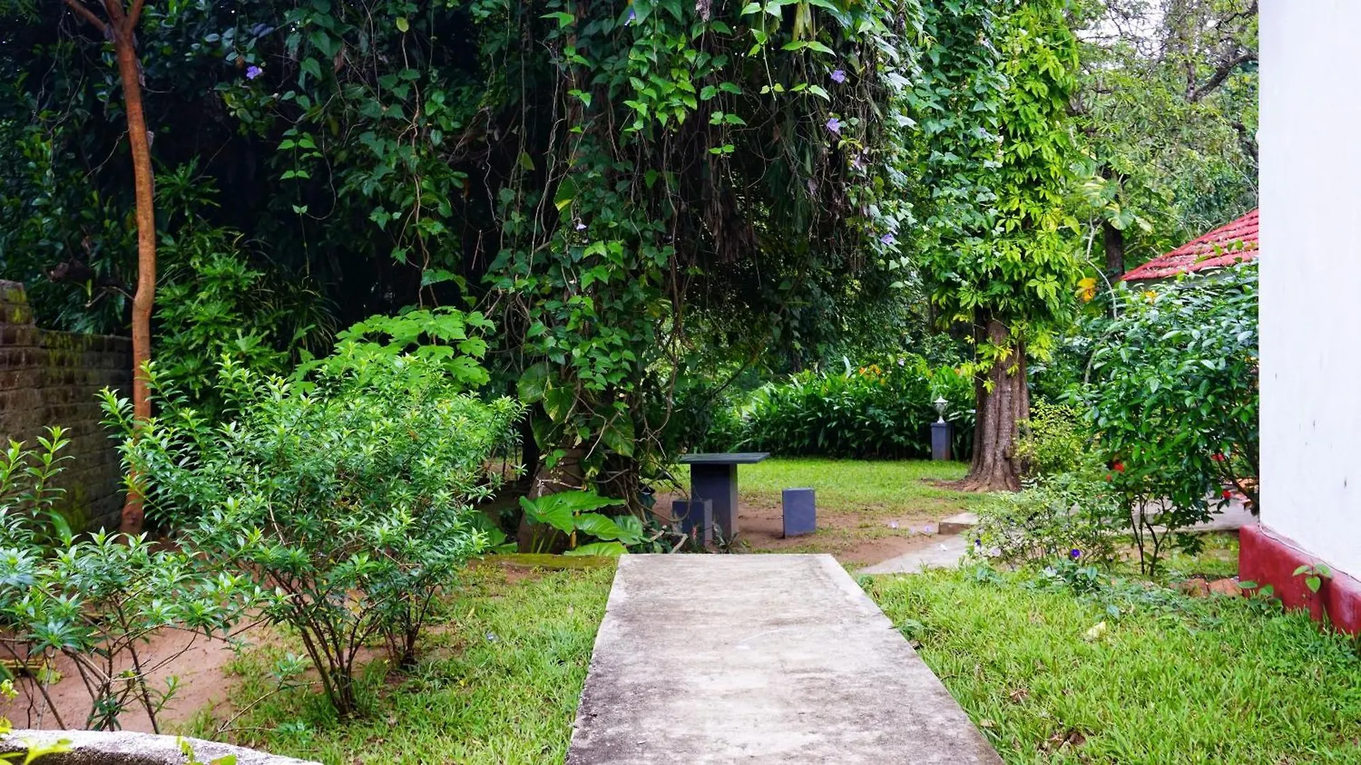 Habarana Inn Sri Lanka