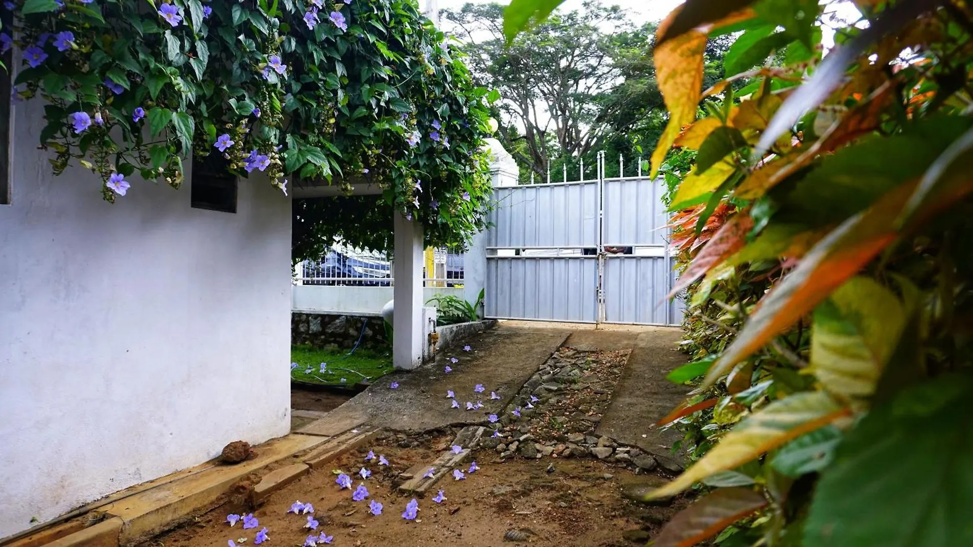 Habarana Inn 0*,  Sri Lanka