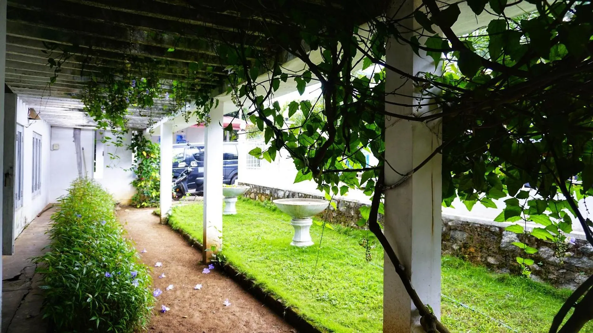 Habarana Inn Bed & Breakfast