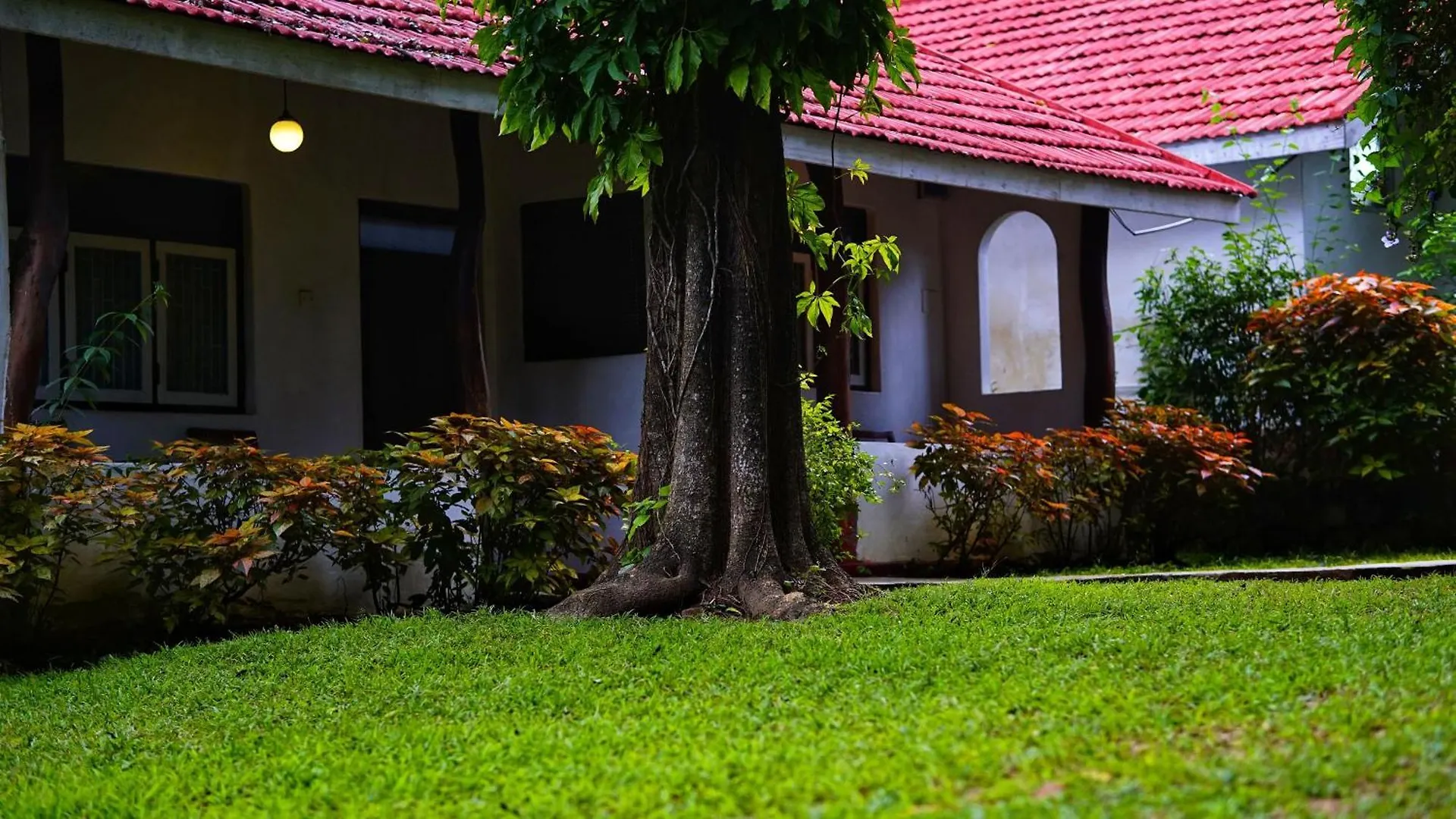 Habarana Inn Bed & Breakfast