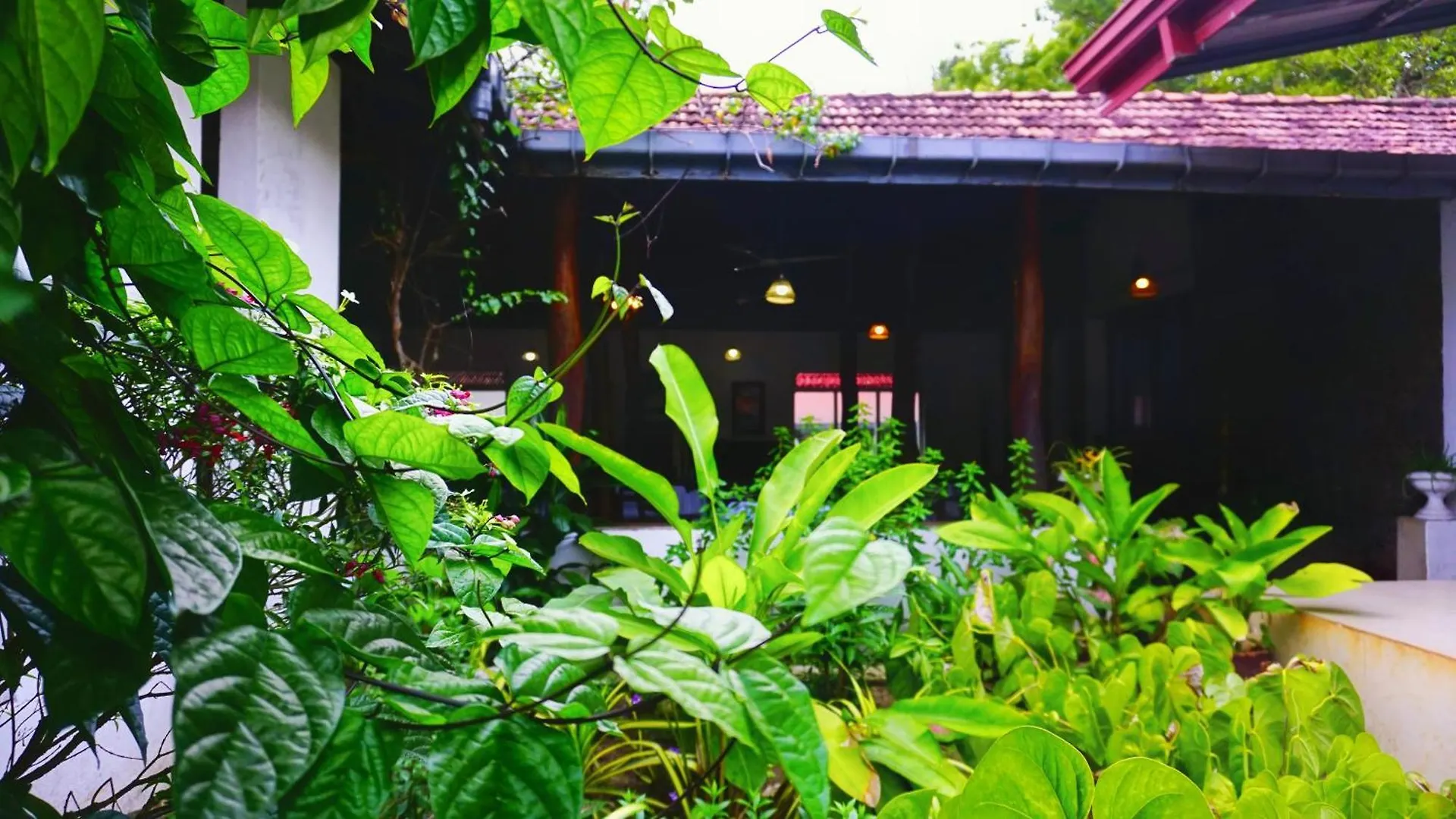 Habarana Inn 0*,