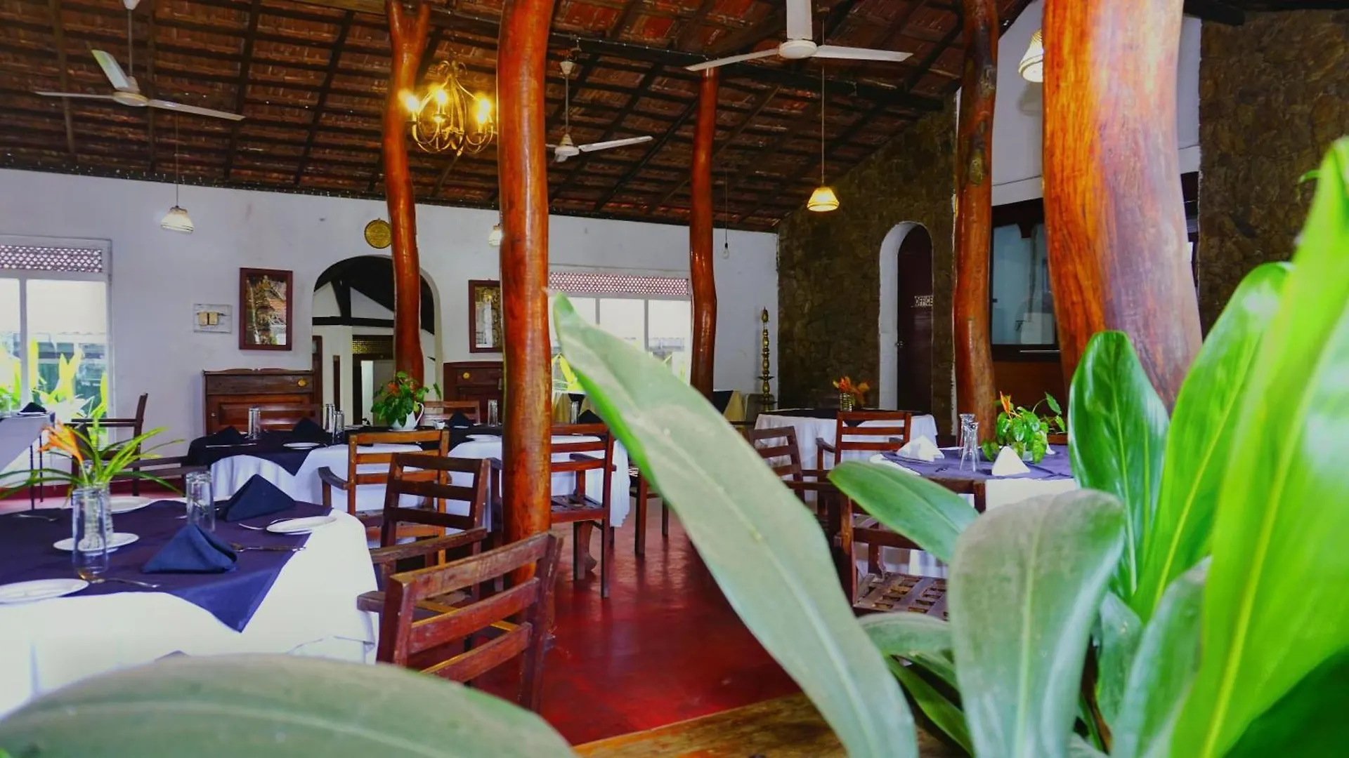 Bed & Breakfast Habarana Inn